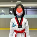 용인대 지노 태권 스쿨 이미지