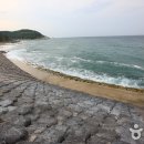 오보니 Daum카페