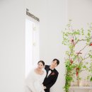 베뉴에이