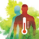 수동사우나 이미지