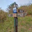 계룡산임도삼거리(입구) 이미지