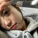 수영구민화 함께하는 숲 탐방 | 함께하는 네 번째의 겨울이 오기 전에 끄적여보는 : 다카마쓰 여행기 1일 차