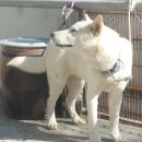 차지킴이 이미지