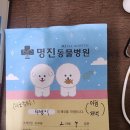 명진동물병원 이미지