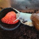 두솔농장 이미지