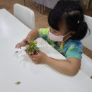 봉진농장 이미지