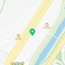 바미네일레푸스용인