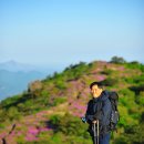 제암산.사자산 철죽산행-청청대장 이미지