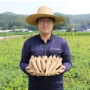 횡성더덕농장