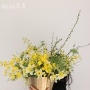신사동꽃집 바이조조 선물
