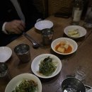 박씨물고온제비 - 강남구 | 박씨물고온제비