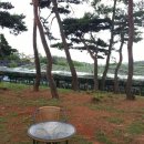 마산포농원 | 송산포도원혜농원으로 포도따기체험~~