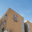 브라운도트 이미지