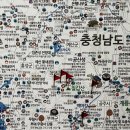 바닷물 손두부 이미지