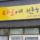 타로에 반하다 이미지