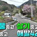 가야면사무소 티스토리