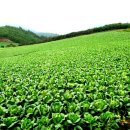 오션초등학교 이미지