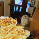 지에스25(GS25)강남프리미엄점 이미지