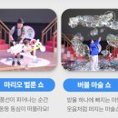 대전오월드 이미지