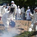 평창 방림삼베민속 이미지