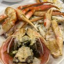 오늘더예쁜눈(오늘The예쁜눈) 이미지