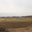 상옥리경로당 Daum카페