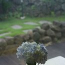 월정소랑 이미지