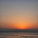 북춘천새마을금고 본점 외 | 뚜벅뚜벅👣 2박 3일 포항여행2️⃣(호미곶 일출, 코끼리만두 본점, 수향회식당, 곤륜산, 스페이스워크)