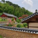 도시텃밭 정원을 가꾸는 유기농기능사 | 🏡 고령 개실마을, 한옥의 운치에 빠지다 🌿