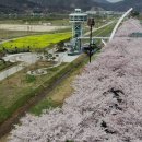 황산공원 축구장 이미지