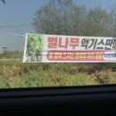 가락장 | 시골 탐방 🤍 (가락장 후기..?)