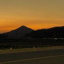 호랑가시나무민박 이미지