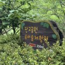 운중로225번길 | 서울근교 :: 판교공원 유아숲체험원 :: 방문 후기, 이번 주말 아이랑 어디 놀러가지❓아이랑 갈만한 곳...