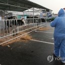 상방농장 이미지