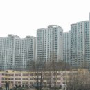 강남-299 이미지