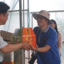 조영수농장 이미지