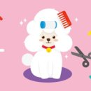 오쉬오트 이미지