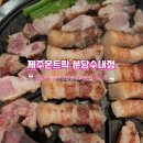 분당-수내-310 네이버블로그