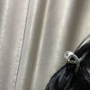 꽃다운영이