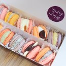 인마망마카롱 | 부산 마카롱 다채로운 맛으로 승부하는 인마망마카롱 먹어봄