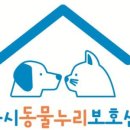 댕동산 이미지