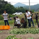 달빛농장 이미지