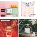 신사2-020 이미지