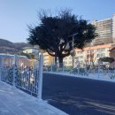 월포초등학교 이미지