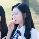 프리츠