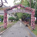 ♣ 강원도 철원 고석정 꽃밭 축제 관광 ♣ 이미지