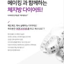메이킹플라워