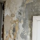 정한섬유 | 셀프 도배 섬유 벽지 후기 | 아토피 곰팡이 안심 인테리어 내돈내산