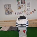 도그빌리지 이미지