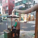 서울갈매기